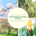 Pierwszy dzień wiosny już dziś !