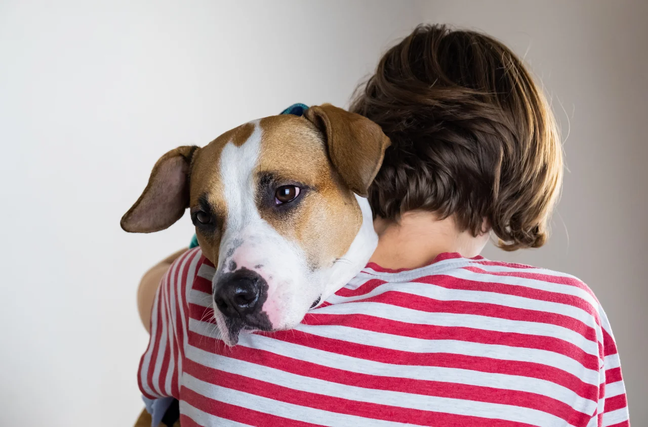 „Były partner odebrał mi psa, twierdząc, że ‘kupił go za swoje’.” — pisze Marta [LIST]