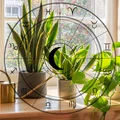 Są jak Twoje zodiakalne bliźniaki! Sprawdź, jaka roślina do Ciebie pasuje!