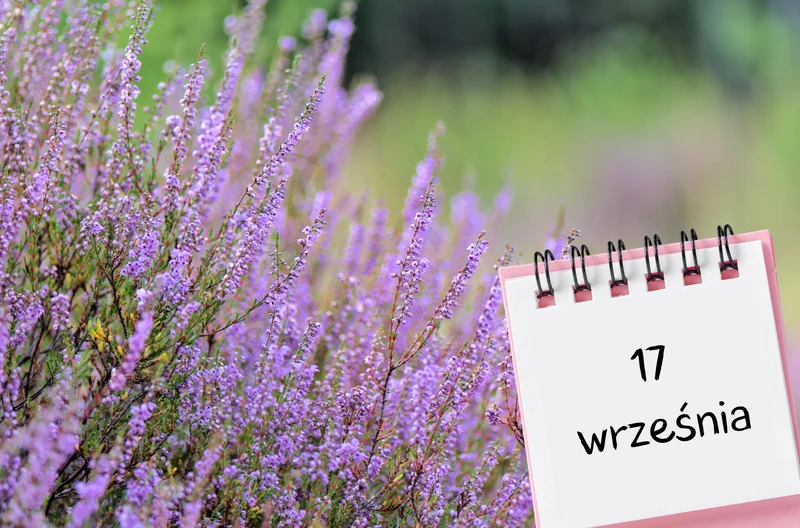Kartka z kalendarza: 17 września - imieniny, gwiazdy, nietypowe święta! Odkryj sekrety tego dnia!
