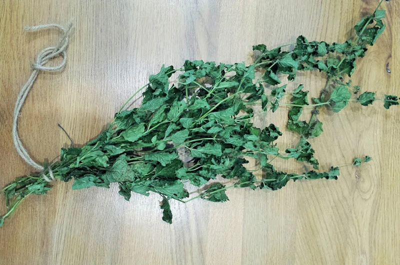 Mięta dla zdrowia i urody