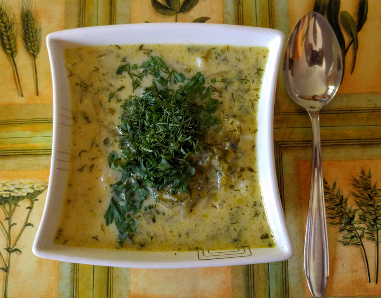 Zupa ze świeżych ogórków