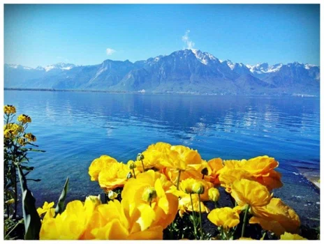 Montreux Szwajcaria i jesteś w raju -zobacz magiczne zdjęcia