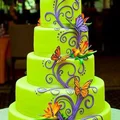 Tort w motyle