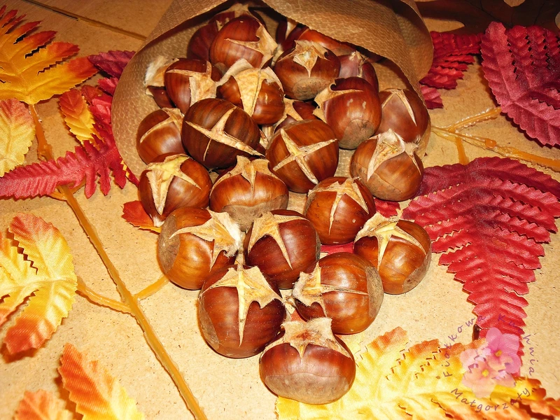 Pieczone kasztany