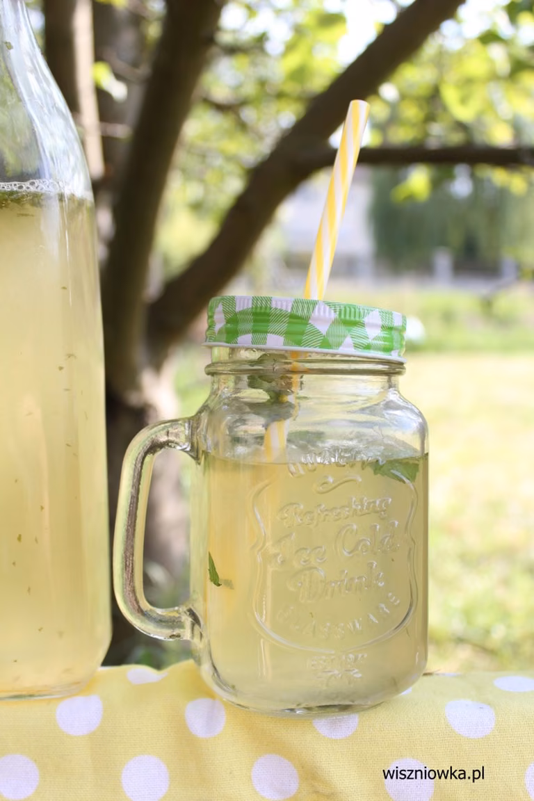 Lemoniada Virgin Mojito