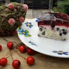 ciasto z kremem i owocami