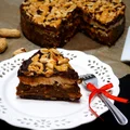 FIT SNIKERS (BEZ PIECZENIA)