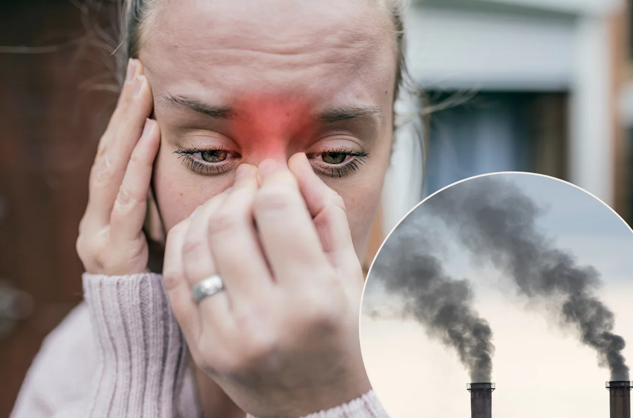 Smog niszczy Twoje zatoki – zobacz, jak się skutecznie chronić