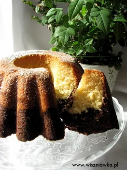 Babka waniliowo-kakaowa