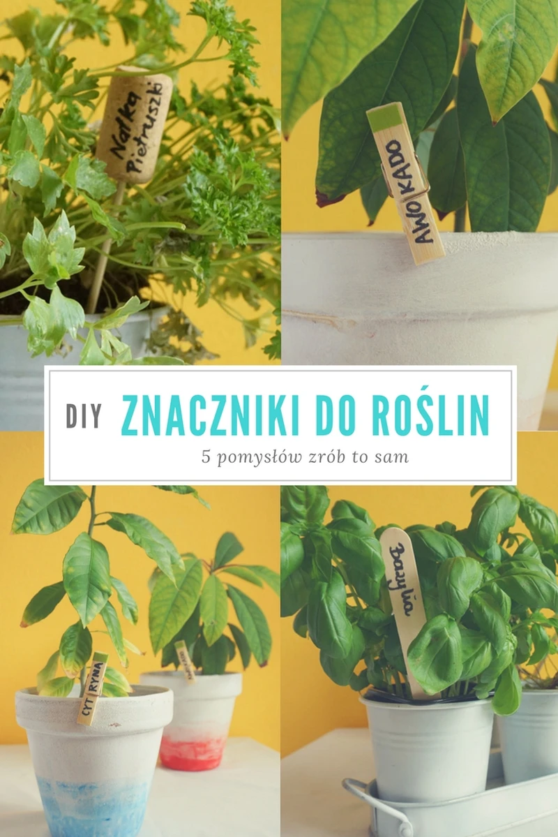 DIY 5 pomysłów na proste znaczniki do roślin