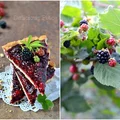 Tarta z jeżynami