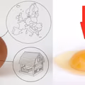 Czy jaja od kur z różnych chowów naprawdę różnią się jakością?