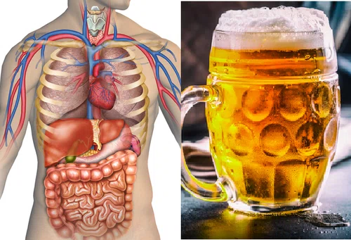 Oto, jak picie piwa wpływa na twój organizm minuta po minucie