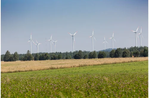 Będziemy płacić mniej za prąd?! Rząd planuje zmiany w energetyce wiatrowej!