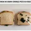 Torebki na kanapki chroniące przed ich kradzieżą
