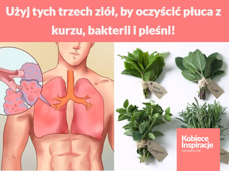Użyj tych trzech ziół, by oczyścić płuca z kurzu, bakterii i pleśni!
