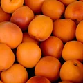 KUCHENNA APTEKA #10 - MORELE