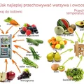 Jak przechowywać warzywa i owoce