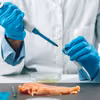 Salmonella w polędwiczkach z kurczaka jogurt-morela: co musisz wiedzieć, by chronić rodzinę