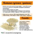Komosa ryżowa - właściwości