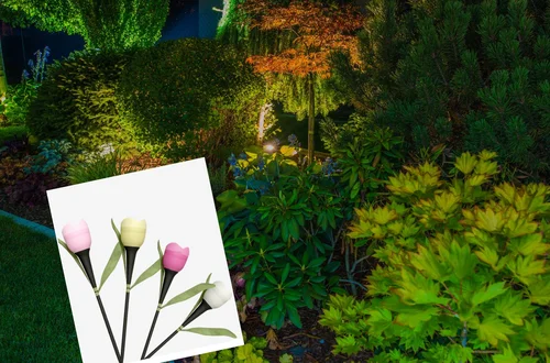 Kosztuje tylko 6 zł, a zamienia ogród w bajkę! Ten hit z Pepco rozchodzi się błyskawicznie!