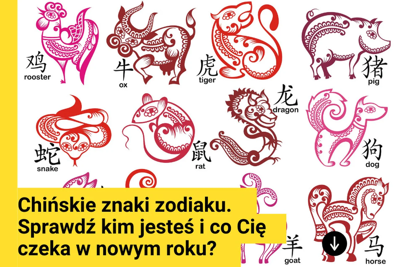 Chińskie znaki zodiaku.  Sprawdź kim jesteś i co Cię czeka w nowym roku?