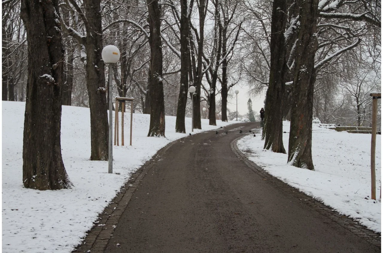 Drastyczne ochłodzenie nad Polską! Pojawi się również śnieg!