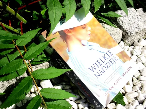 ” Wielkie nadzieje ” Susan Anne Mason – recenzja