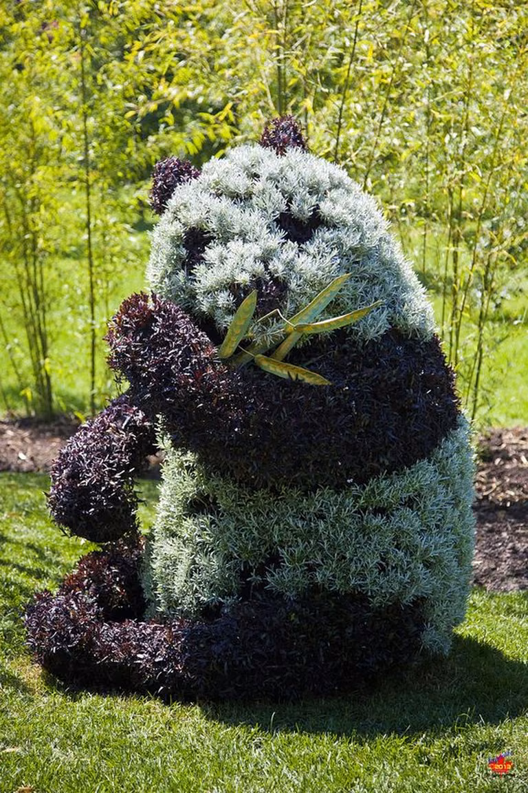 Ogrodowa panda