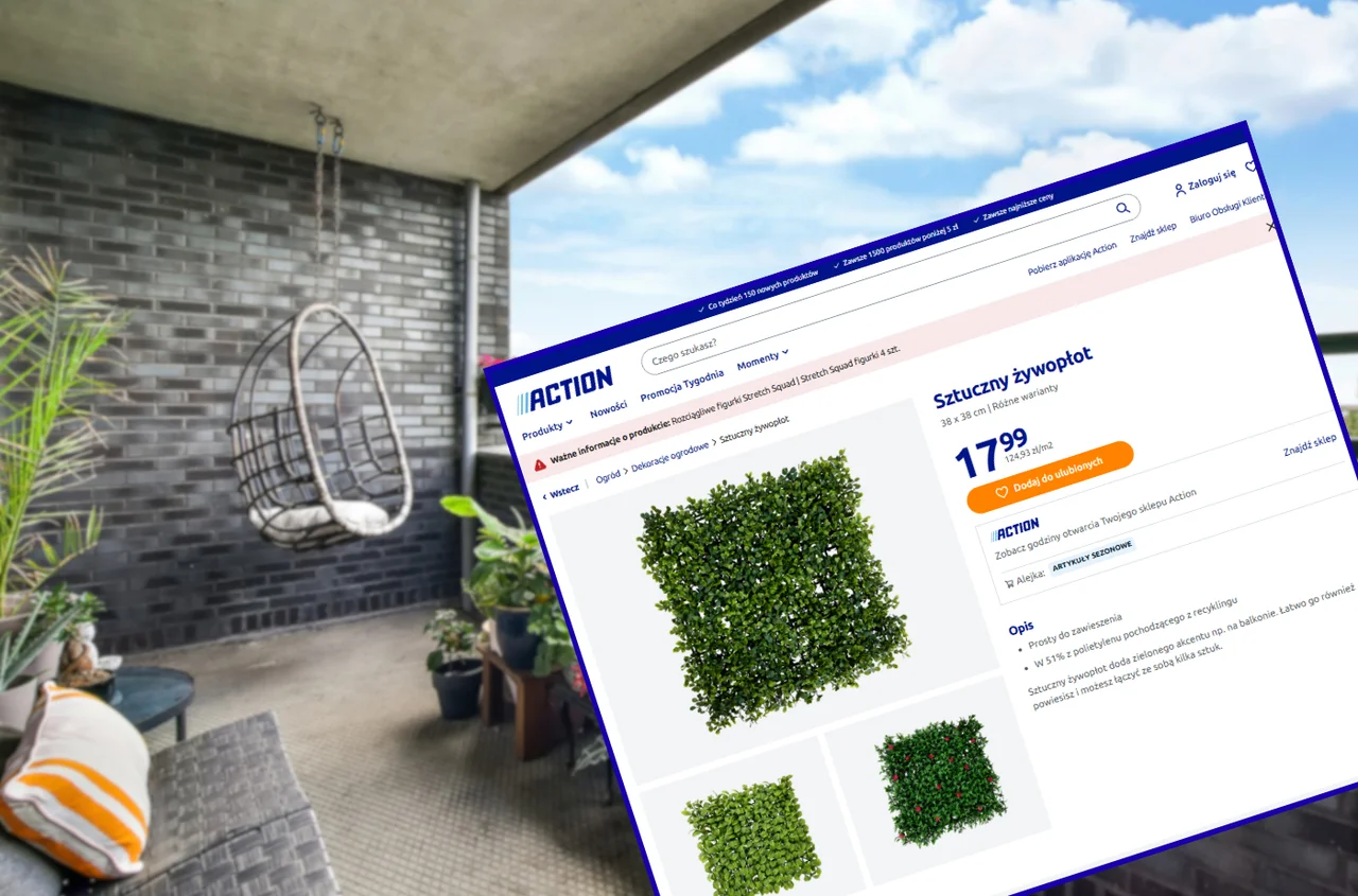 Ten żywopłot z Action za 17 zł bosko odmieni balkon! Zero podlewania - prywatna, zielona oaza przez cały rok