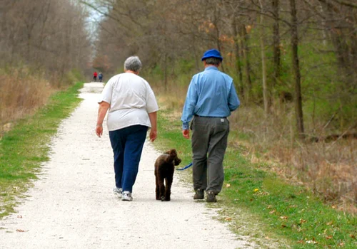 Przed nami sporo podwyżek od lokalnych władz! Wzrośnie podatek od psa i wiele innych! [LISTA]