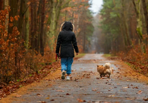 Minusowe temperatury już w tym tygodniu! Ci mieszkańcy Polski muszą szykować się na przymrozki i przygotować grube kurtki