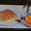 CIASTO Z POŁÓWKAMI KAKI