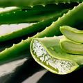 Masz w domu aloes? Sprawdź, jak możesz wykorzystać jego liście!