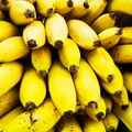 Czarna końcówka banana - JEŚĆ CZY NIE JEŚĆ?