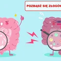 Wypróbuj mieszankę która OCZYŚCI TWOJE JELITA