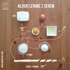 Leniwe