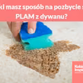 Jaki masz sposób na pozbycie się PLAM z dywanu?