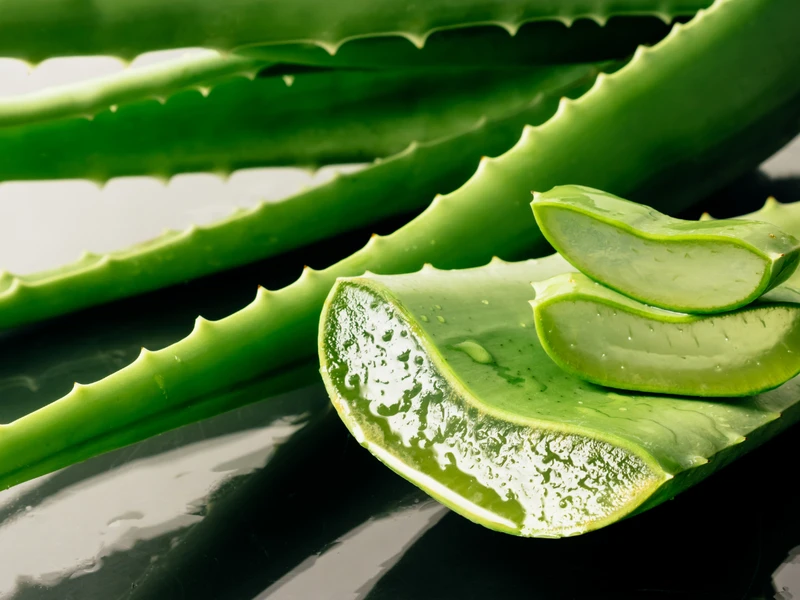 Masz w domu aloes? Sprawdź, jak możesz wykorzystać jego liście!