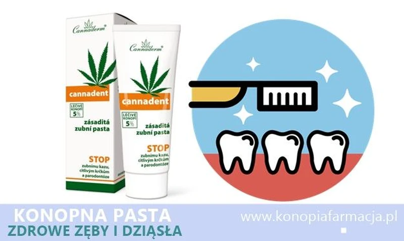 Pasta do zębów z olejem konopnym CBD - Konopia Farmacja
