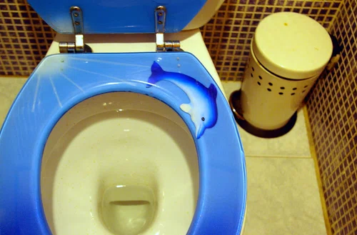 8 sposobów na czystą toaletę