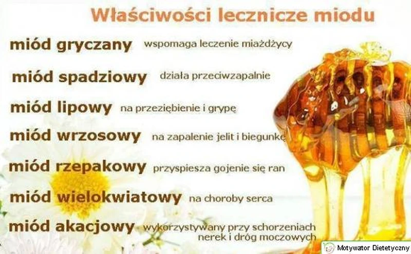 WŁAŚCIWOŚCI LECZNICZE MIODU