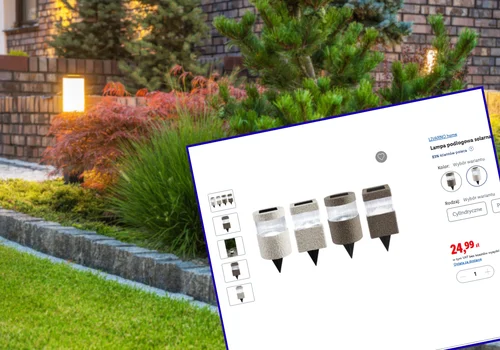 Ta nowoczesna lampka solarna z Lidla to gorący hit! Za 24,99 zł i bez kabli stworzysz ogród lub balkon jak z Instagrama