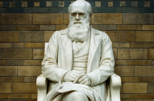 Światowy Dzień Darwina: Jak Ewolucja Kształtuje Nasz Świat