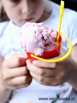 Proste i pyszne lody (bez jajek)