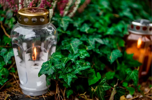 Nowy rodzaj pogrzebów w Polsce! Za eko-pochówek zapłacimy niecałe 500 zł