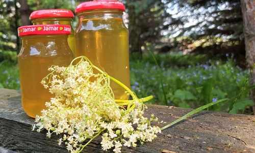 Syrop z kwiatów czarnego bzu – przepis i zastosowanie