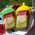 DOMOWE LODY Z OWOCÓW