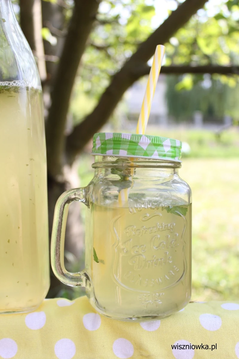 Lemoniada Virgin Mojito